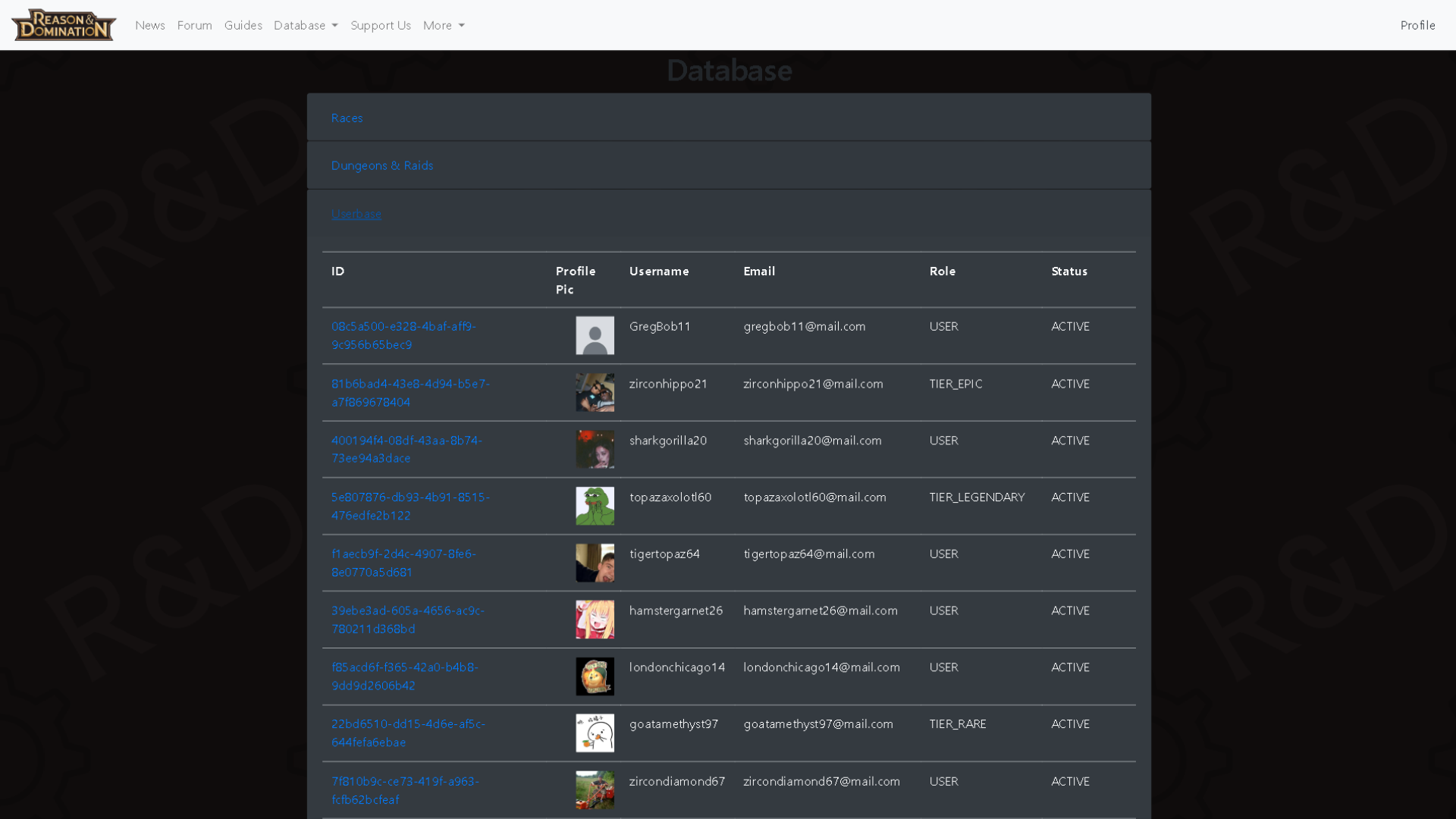 Accessible only by an admin, the admin panel allows the adding of new items, looking through the userbase and other game-related information.